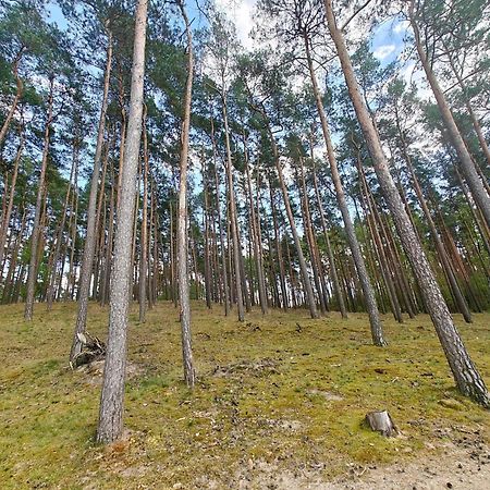 Lesna Ostoja W Centrum Puszczy Nadnoteckiej Otoczona 3 Jeziorami Miedzychod Extérieur photo
