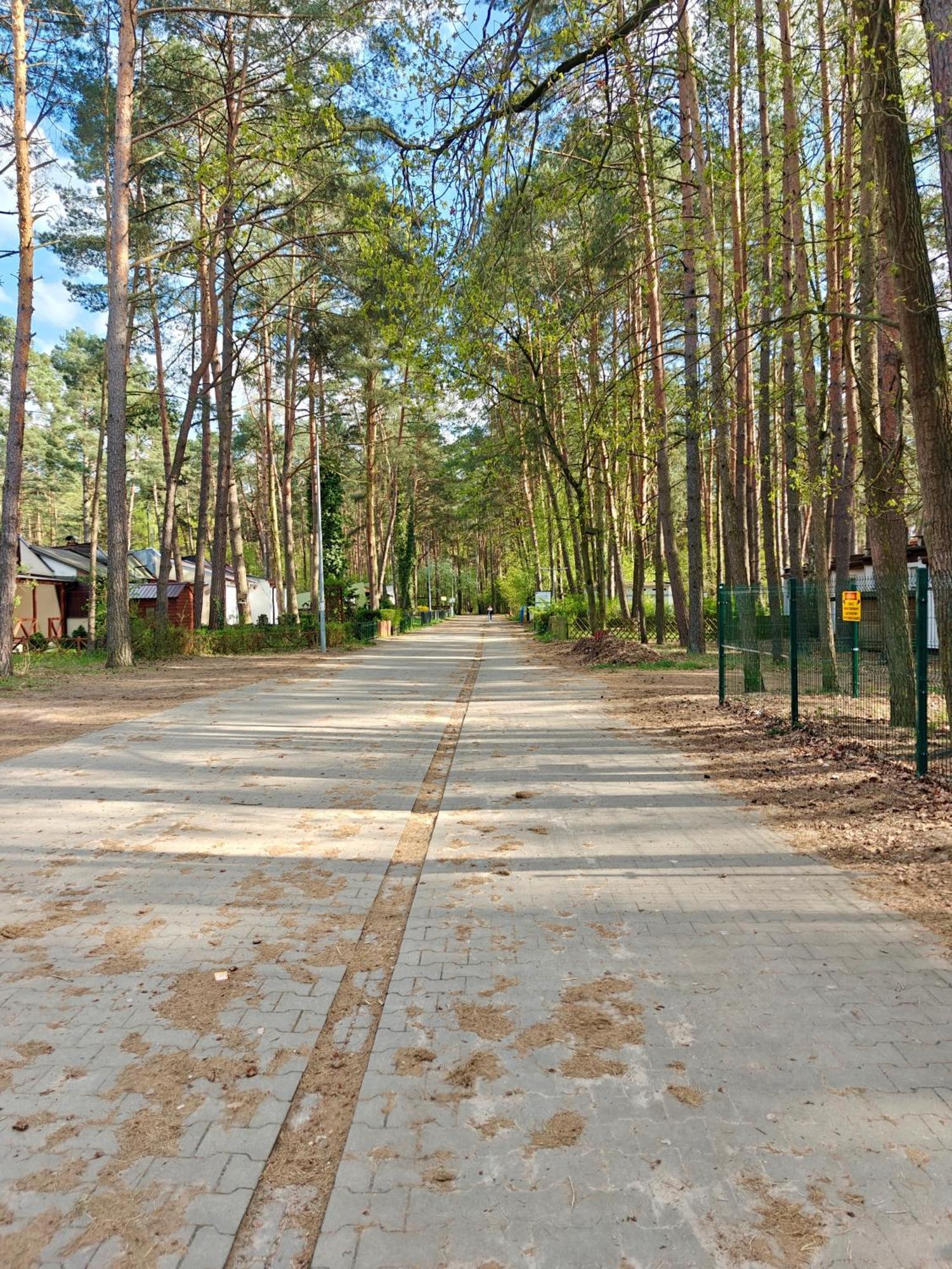 Lesna Ostoja W Centrum Puszczy Nadnoteckiej Otoczona 3 Jeziorami Miedzychod Extérieur photo